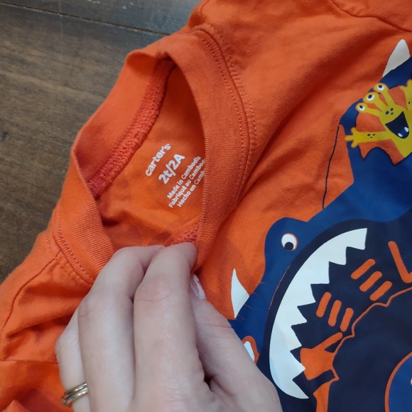 bundle of 2 • boys long sleeve t shirts 2T - Picture 5 of 6